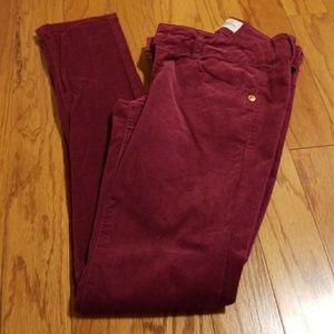 Rewind Corduroy Wine Pants